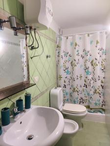 a bathroom with a sink and a toilet and a shower curtain at Al vicolo dei Mori in Trecastagni +56 photos