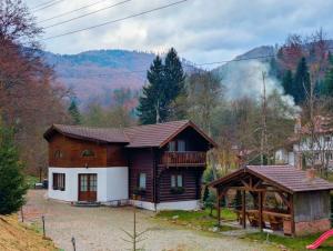 a house in the middle of a forest at Cabana Rustic Balea in Cîrţişoara