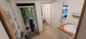 een badkamer met een wastafel en een spiegel bij grains de soleil in Castelnau-dʼEstrétefonds