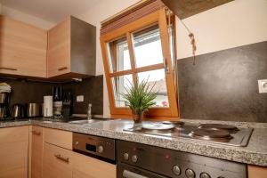 Nhà bếp/bếp nhỏ tại Dienbergerhof Ferienwohnung Tulpe +5 ảnh