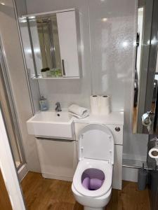 Vannituba majutusasutuses Newcastle Comfy Stays