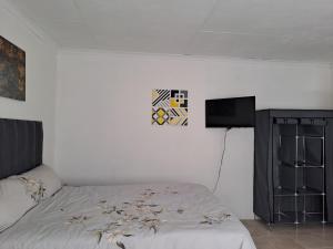 Un dormitorio con una cama y un televisor de pantalla plana. en Buccleuch Home, en Sandton