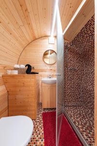 a bathroom with a shower and a sink at Wellnes Hříbek in Dyjákovice