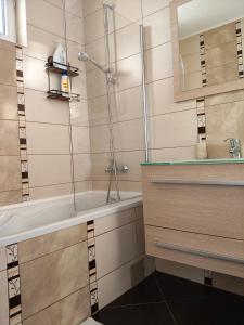 a bathroom with a shower and a tub and a sink at Apartament Alex in Sibiu