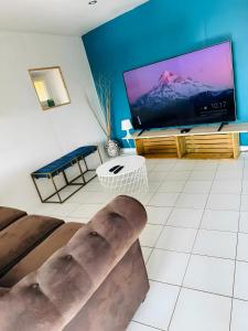a living room with a couch and a large screen tv at Gîte Le Flot in Saint-Florentin