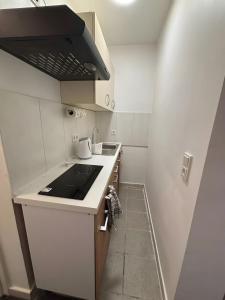 a small white kitchen with a sink and a stove at Menzel Appartment 5 in Rehlingen +8 photos