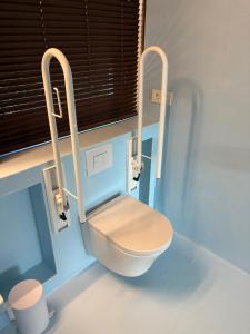 une salle de bain avec toilettes dans une chambre bleue dans l'établissement Bamboo House, à Boyl 14 autres photos