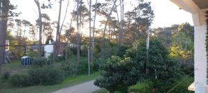a view of a yard with a house and trees at Kasty in Piriápolis