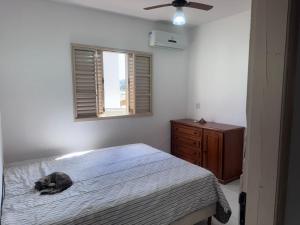 eine Katze, die in einem Schlafzimmer auf einem Bett liegt in der Unterkunft Casa Férias Xero in Capitólio