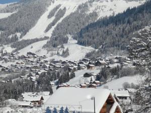 Un pueblo cubierto de nieve con una montaña en Demi-chalet 5 pièces, 10 pers, terrasse, sauna, parking - FR-1-676-22, en Châtel