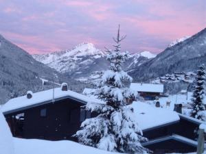 een met sneeuw bedekte boom voor een berg bij Chalet 6 pers à Châtel, proche centre et remontées, terrasse et équipements modernes - FR-1-676-135 in Châtel