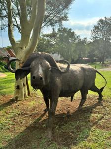 a statue of a bull standing next to a tree at Khaya Africa Guesthouse in Midrand