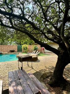 een houten bankje onder een boom naast een zwembad bij Khaya Africa Guesthouse in Midrand