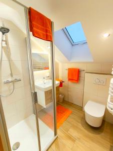 a bathroom with a shower and a toilet and a skylight at Ferienwohnungen Haus Irene in Bodenmais