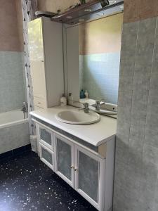 a bathroom with a sink and a mirror at Adélaide Cottage in Chevagny-les-Chevrières +37 photos
