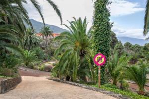 un panneau rose sur un chemin de terre bordé de palmiers dans l'établissement El Hierro, à La Victoria de Acentejo