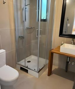 une douche dans une salle de bain avec toilettes et lavabo dans l'établissement Casa amplia y moderna en Cerro Tacna, Maitencillo, à Maitencillo