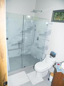 a bathroom with a shower and a toilet at Luxury Apartments Nauyaca by Paradiselodge in Platanillo
