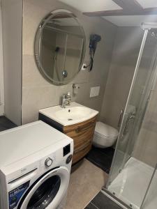 a bathroom with a washing machine and a sink at Alpina Apartment Premium in Feldkirch