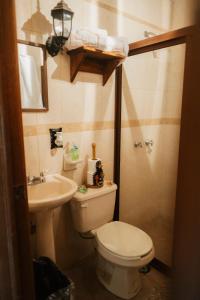 a small bathroom with a toilet and a sink at Cabaña Real Victoria in Tepatitlán de Morelos
