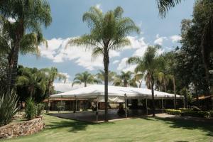a palm tree in front of a building with a tent at Cabaña Real Victoria in Tepatitlán de Morelos