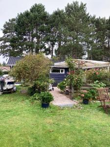 une cour avec une maison et quelques buissons et arbres dans l'établissement Cozy cottage near beach and nature, à Martofte