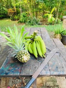 Un racimo de plátanos y una piña sobre una mesa de madera en 1888 North West Xaibe, en Corozal