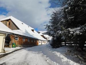 Holmbauer Ferienwohnung Panoramablick v zimě