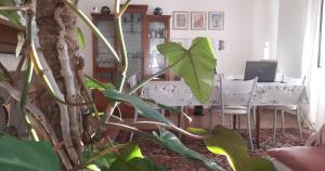 a room with a table and chairs and a plant at Fabiola B & B in Marino