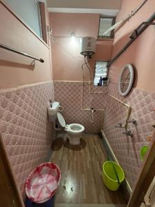 a small pink bathroom with a toilet and a mirror at Sarojinilaya Homestay in Guwahati