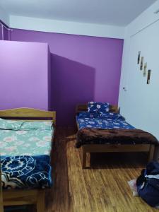 two beds in a room with purple walls at Rumba Homestay in Darjeeling