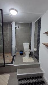 a bathroom with a toilet and a shower at Ti kaz Amater Cascavelle in Cascavelle +6 photos