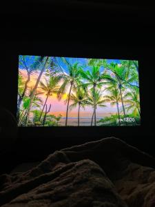 un écran de télévision avec vue sur des palmiers dans l'établissement Sweet homestay in hannah, à Santa Cruz