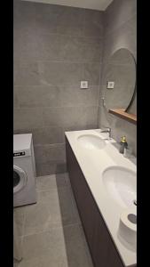 贝尔格莱德LUMIA Design Apt - Tower View - Garage Included的带水槽和洗衣机的浴室