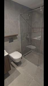 贝尔格莱德LUMIA Design Apt - Tower View - Garage Included的浴室配有马桶和玻璃淋浴房 更多25张照片