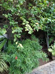 Φωτογραφία από το άλμπουμ του Yala Ceylon Moon Hotel σε Meda-Ela