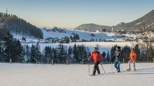 un grupo de personas esquiando en la nieve en Pension Wald, en Faistenau
