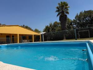 a swimming pool in a yard with a palm tree at La Regina Casa de Campo in La Caldera