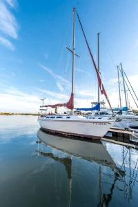 Un barco está atracado en un muelle en el agua. en Picturesque Equipped Boat Rental Incredible for a Relaxing Getaway in Florida, en Moultrie Junction