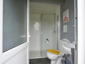 a bathroom with a shower and a toilet and a sink at The Sheep Pod - Uk50074 in Welshpool