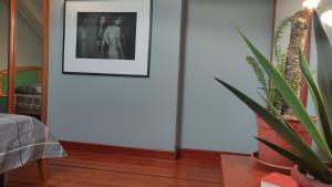 Gallery image of Woodpecker Hostel Montenegro in Zelenika