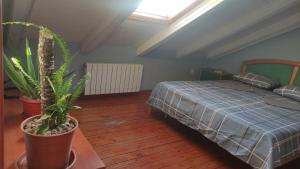 a bedroom with a bed and a potted plant at Woodpecker Hostel Montenegro in Zelenika