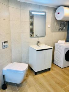 a bathroom with a toilet and a sink and a mirror at 101 - Beachside Renovated 1BR apt w private garden in Cambrils