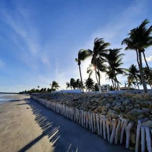 ein Strand mit Palmen und einer Felswand in der Unterkunft Casa de praia in Pitimbu