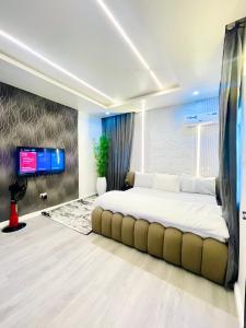 TV a/nebo společenská místnost v ubytování Delight shortlet apartments- Luxury 3 Bed in Jahi