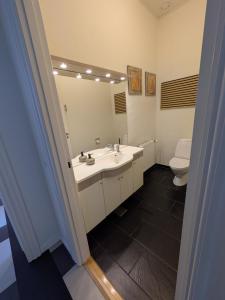 Un baño con lavabo, espejo e inodoro. en Den gamle stenhugger, en Haderslev 15 fotos más