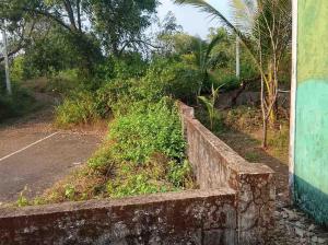 una pared de piedra junto a una carretera con árboles en Yellow Maple, en Camorlim