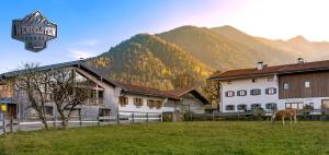 een paard dat graast in een veld voor een gebouw bij Wendelstein Lodge in Fischbachau