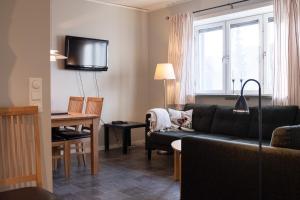 TV a/nebo společenská místnost v ubytování Åreguiderna - Bubblans lägenheter Åre Torg