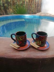 two cups of coffee on plates next to a pool at Cabañas Los Gallitos Ecolodge 3 in Sacalum